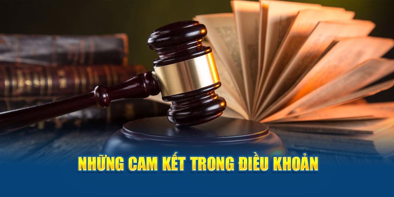 Những cam kết của soicau366