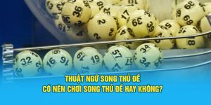 thuật ngữ song thủ đề