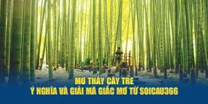 mơ thấy cây tre - giải nghĩa từ soi cầu 366